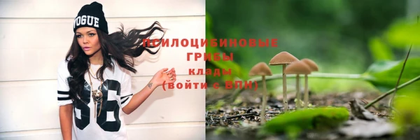 jwh Аркадак