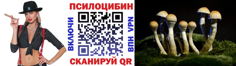 Псилоцибиновые грибы GOLDEN TEACHER  Семикаракорск 
